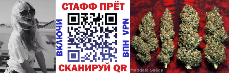 Наркошоп купить Гашиш  COCAIN  А ПВП  Бошки Шишки  Меф мяу мяу  Злынка